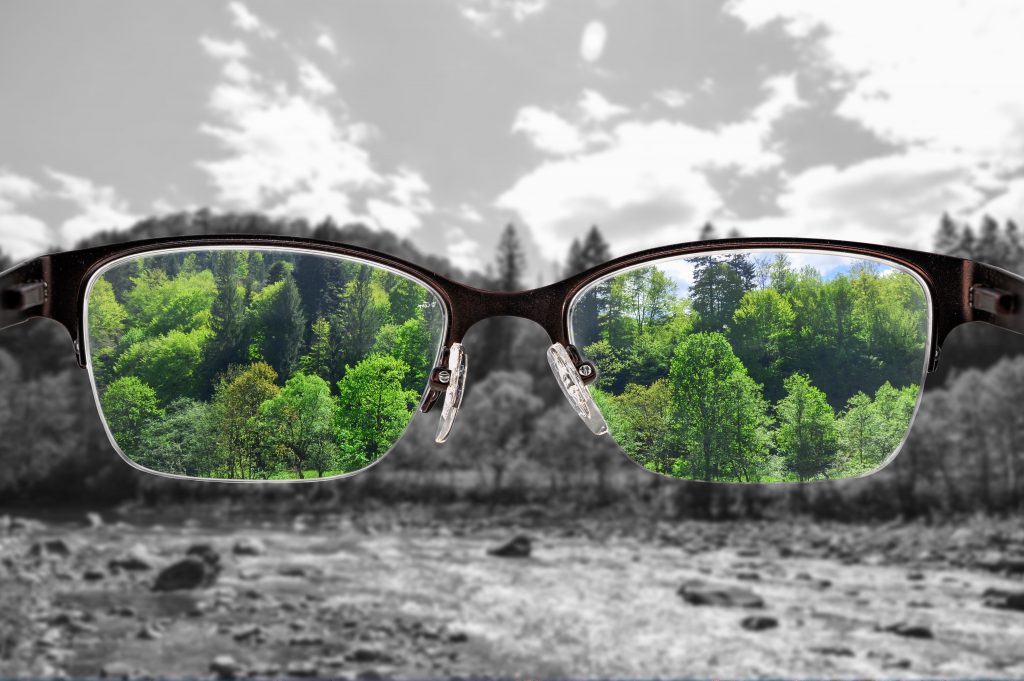 Colorful view of river and forest focused in women's glasses